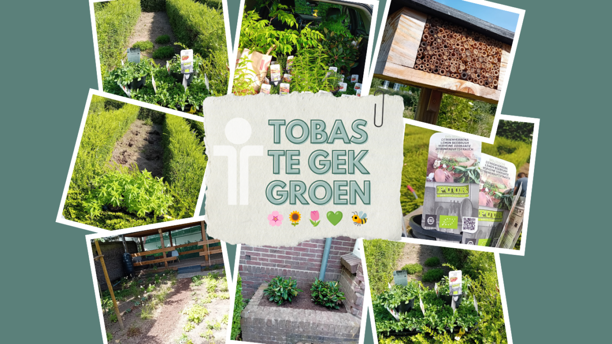 Te Gek Groen