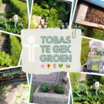Te Gek Groen