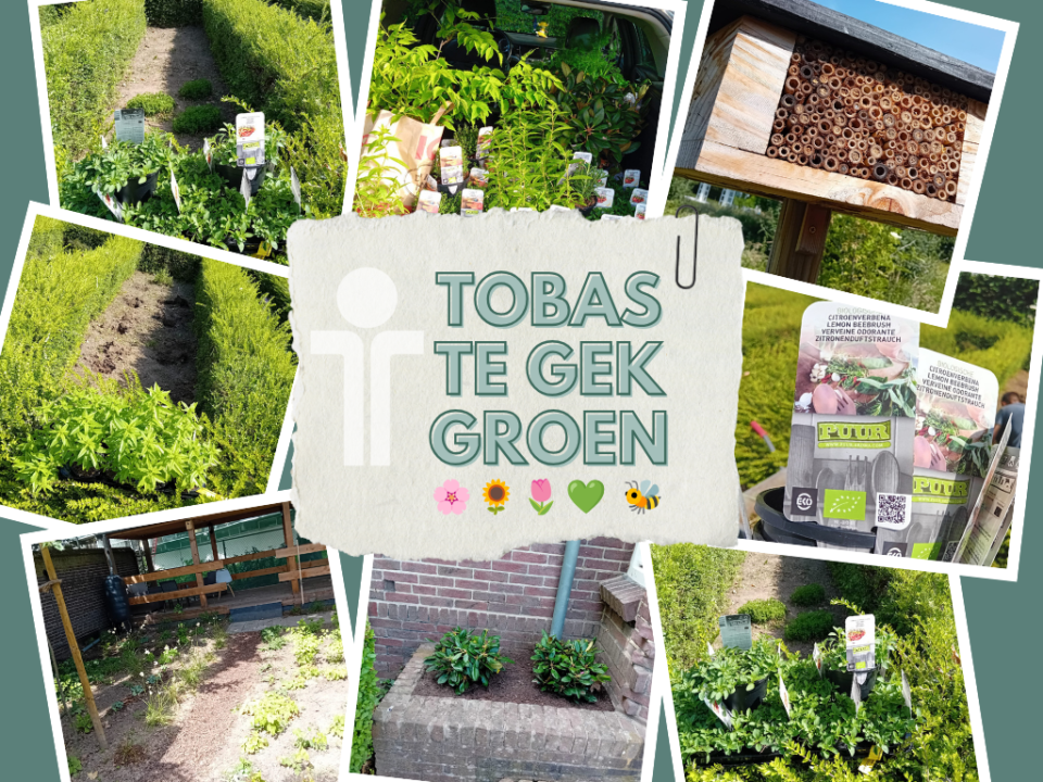 Te Gek Groen